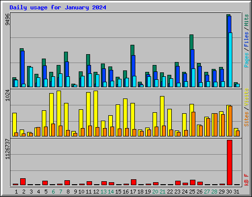 Daily usage for January 2024