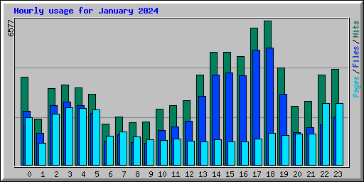 Hourly usage for January 2024