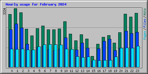 Hourly usage for February 2024