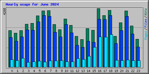 Hourly usage for June 2024