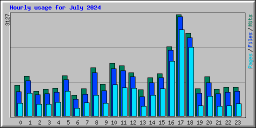 Hourly usage for July 2024