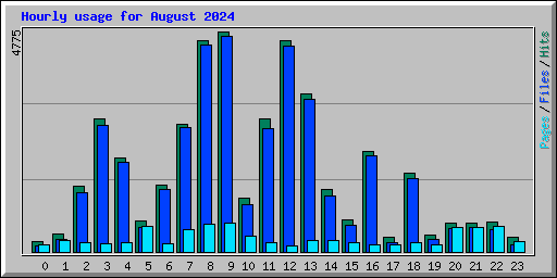 Hourly usage for August 2024