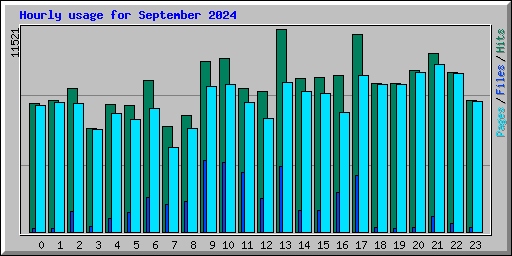 Hourly usage for September 2024