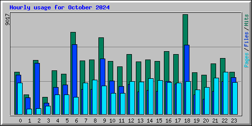 Hourly usage for October 2024