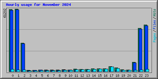 Hourly usage for November 2024